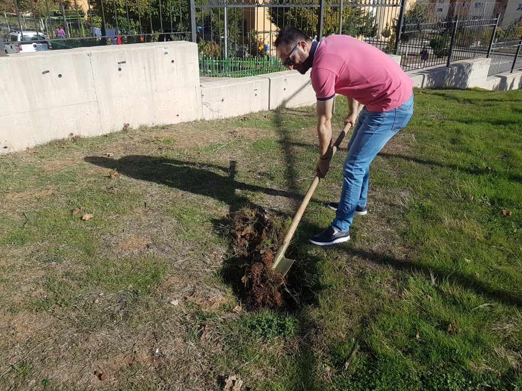 06-11-2019