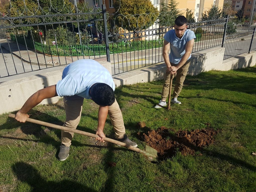 06-11-2019